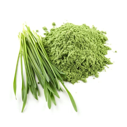Barley Grass