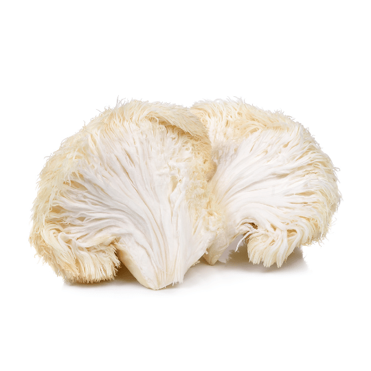 Lion's Mane Mushroom Powder