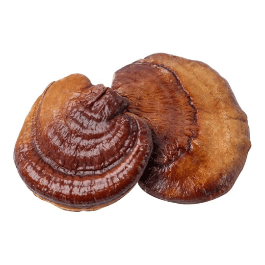 Reishi Mushroom Powder