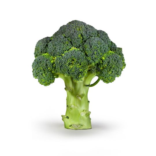 Broccoli